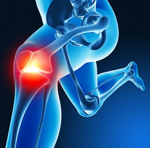 Physical Therapy Physical Therapy
